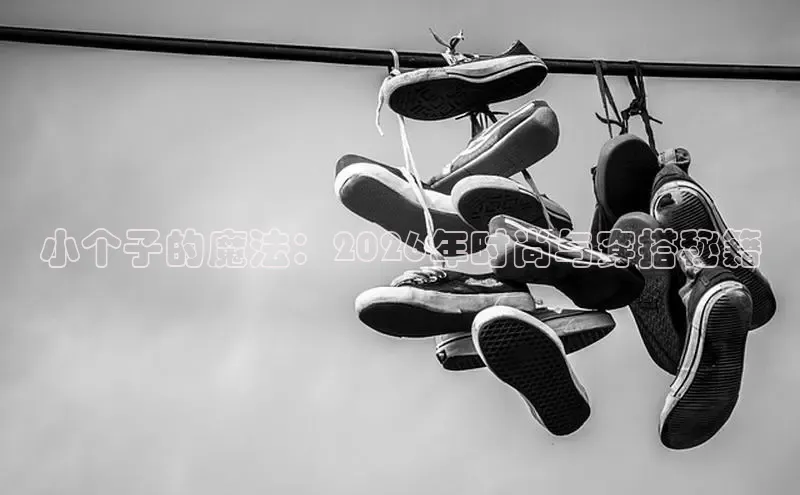 悟空·体育官网入口